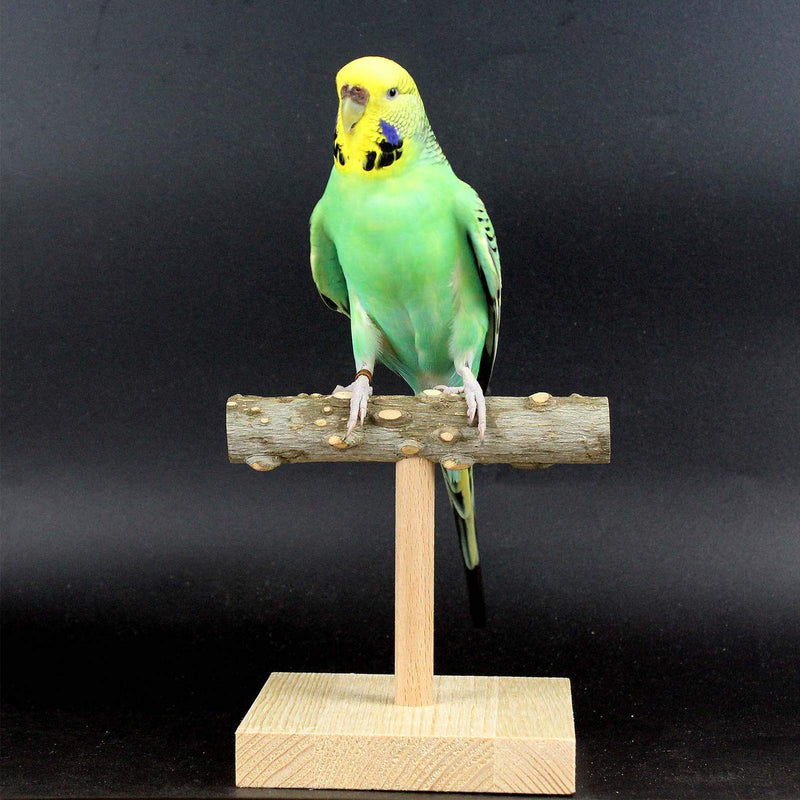 QBLEEV Bird Tabletop Training Stand Perch，Portable Parrot Tee Play Stands, Natural Wood Bird Cage Toys Gym Playground for Small Medium Parakeets Cocktails Conures Lovebirds Finch - PawsPlanet Australia