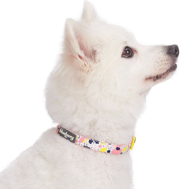 Blueberry Pet 5 Patterns Made Well Floral Dog Collars Collar - (18"-26") Neck * 1" Wide Creamy White - PawsPlanet Australia