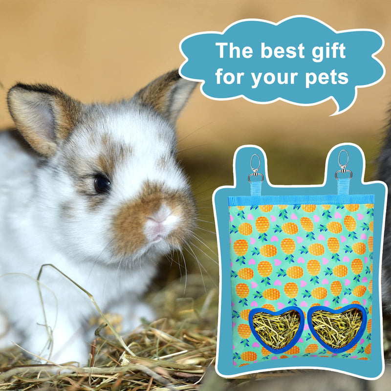 2 Pieces Guinea Pig Hay Feeder Bag Rabbit Hay Feeder Storage Small Animal Hay Feeder Bag Hanging Feeder Sack with 2 Holes for Rabbit Guinea Pig Chinchilla Hamsters Small Pets Strawberry, Pineapple - PawsPlanet Australia