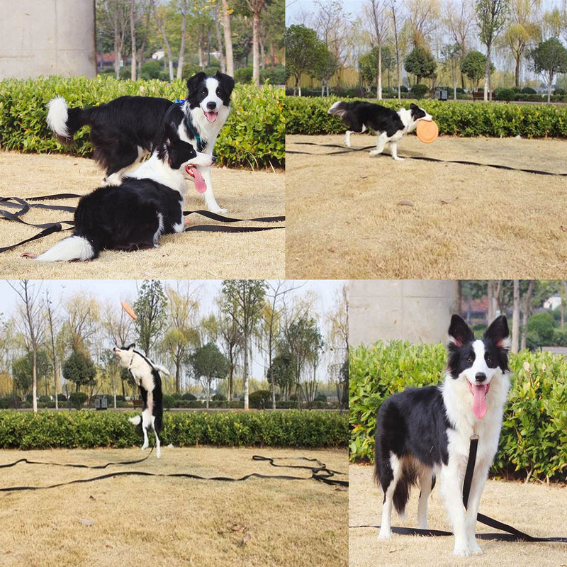 NavoX towline for dogs 20m/30m leash dog running leash for small to large dogs Recall Black - PawsPlanet Australia