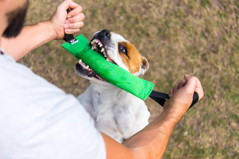 K9 Dog Bite Tug Toy with 2 Strong Handles - Made of Durable & Tear-Resistant French Linen - Perfect for Tug of War, Fetch & Puppy Training - Ideal for Medium to Large Dogs - Firmly Stitched Pull Toy Green Bite Tug with Blue Handles - PawsPlanet Australia
