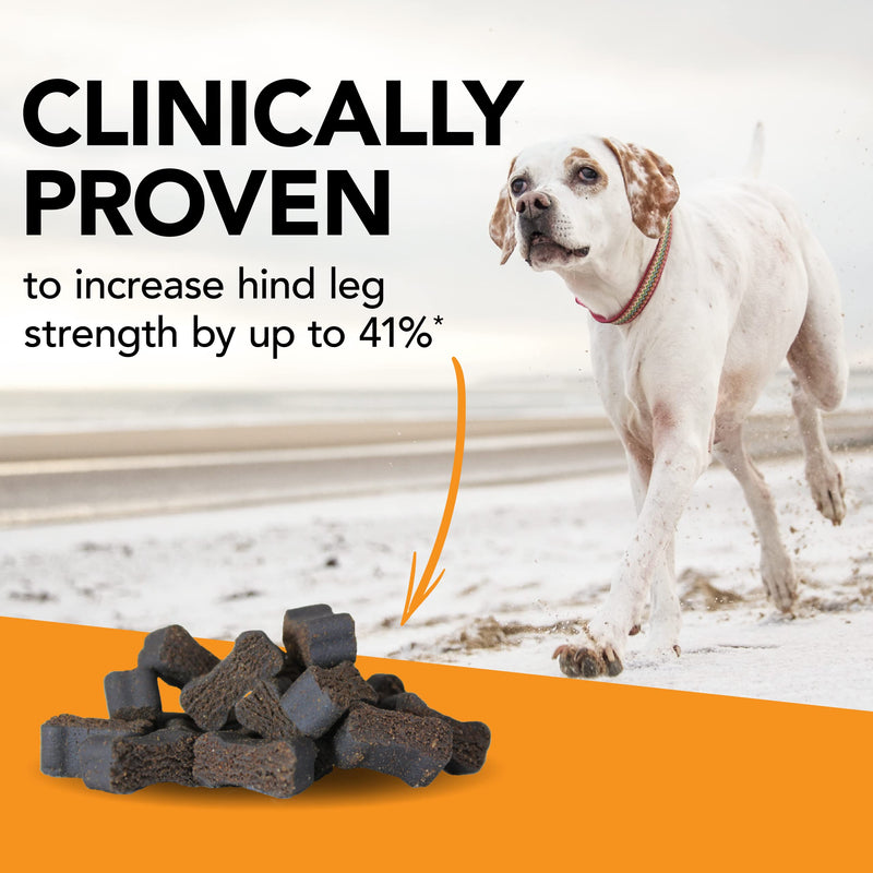 VETRISCIENCE Glycoflex 3 Maximum Strength Hip & Joint Support for Small Dogs Under 30lbs - Glucosamine, DMG, MSM & Green Lipped Mussel - Great Tasting - Vet Recommended, (0900669.060) - PawsPlanet Australia