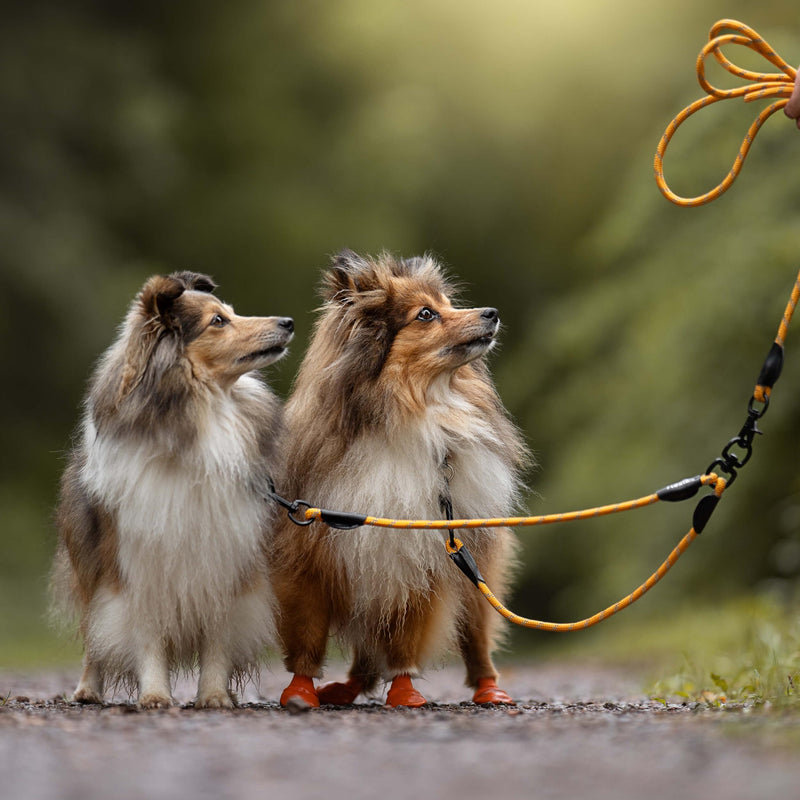 Floxik Tau double leash for 2 dogs grey/orange - reflective, stretchy and tangle-free - double dog leash for coupling - perfect for small to medium dogs small | ø 8mm - PawsPlanet Australia
