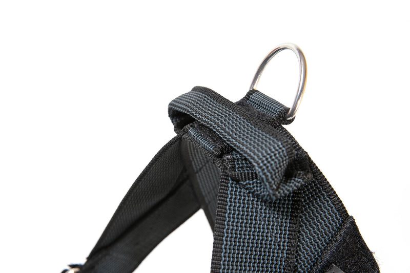 [Australia] - Julius-K9, 16IDC-0-2015, IDC Color & Gray Belt Harness for Dogs, Size: 0, Black-Gray 
