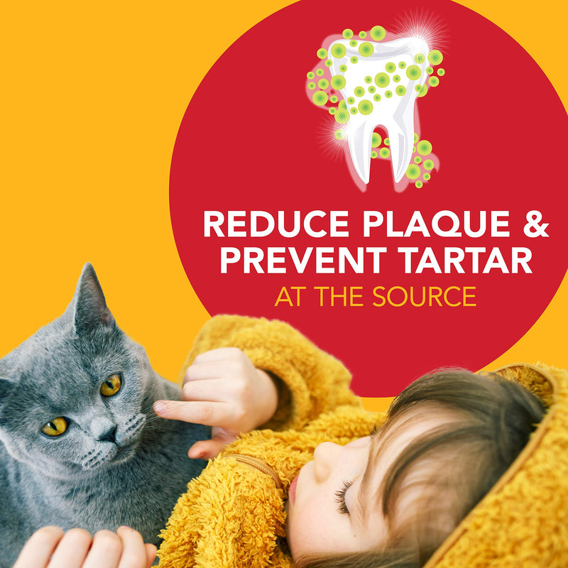 Petrodex Dental Kit for Cats, Malt Flavor Toothpaste, 2.5 Oz 2,5 Ounce - PawsPlanet Australia