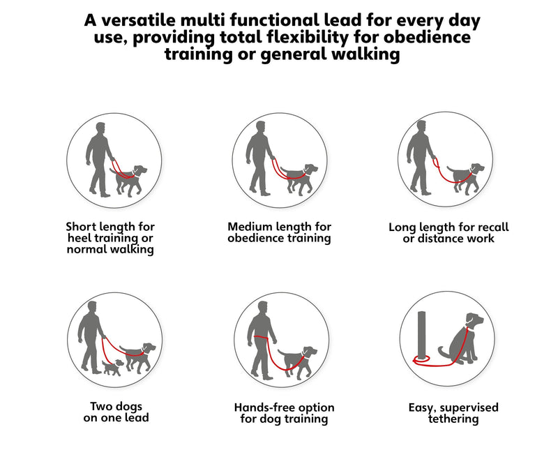 Halti Training Lead for Dogs Small Red - PawsPlanet Australia