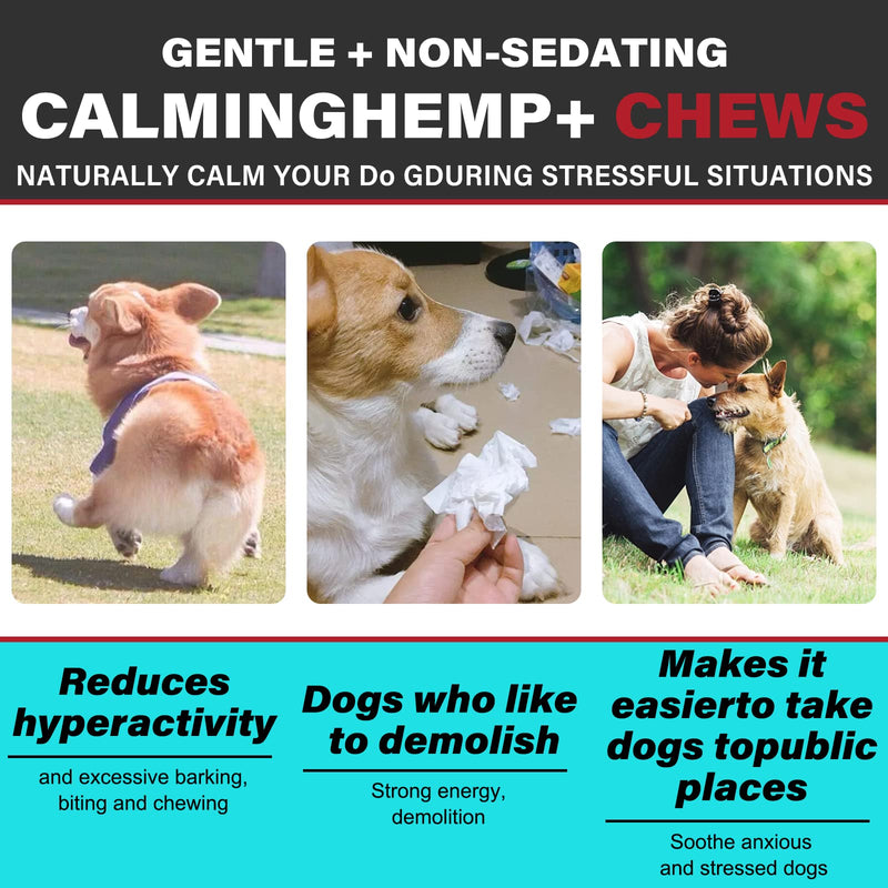 Oimmal Hemp Calming Chews for Dogs - Calming Treats for Dogs with Hemp + Valerian Root, Stress & Dog Anxiety Relief - Calming Dog Treats Helps Aid with Thunder, Fireworks, Chewing & Barking Bacon - PawsPlanet Australia