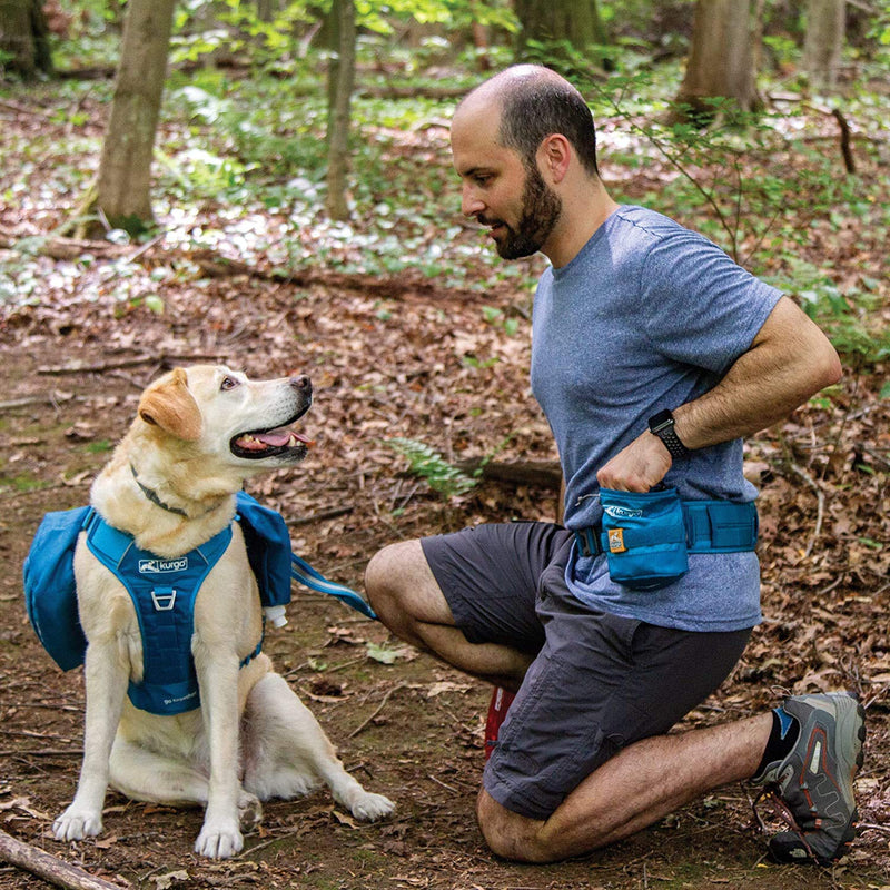 Kurgo RSG YORM Treat Bag, Dog Harness Add-on, MOLLE Compatible, Coastal Blue - PawsPlanet Australia