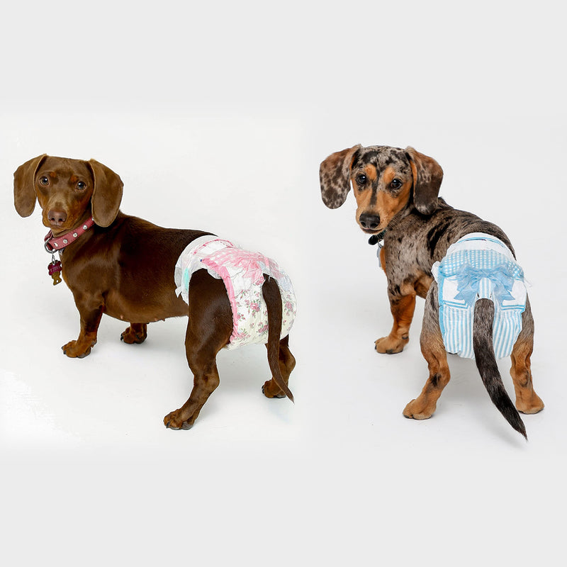 Disposable Dog Diapers with FlashDry Gel Technology - S, 36 Count S Diaper - PawsPlanet Australia