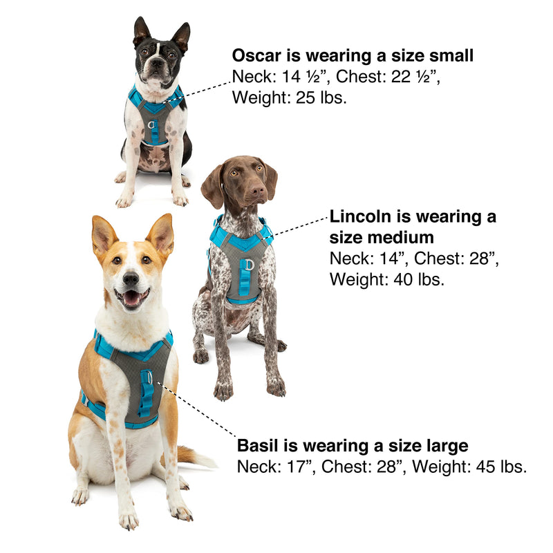 Kurgo Journey Air Dog Harness, Pet Hiking Harness for Running & Walking, Everyday Harnesses for Pets, for Large, Medium, & Small Dogs, Reflective, Black, Blue, Red, Coral, Orange, and Purple X-Small - PawsPlanet Australia