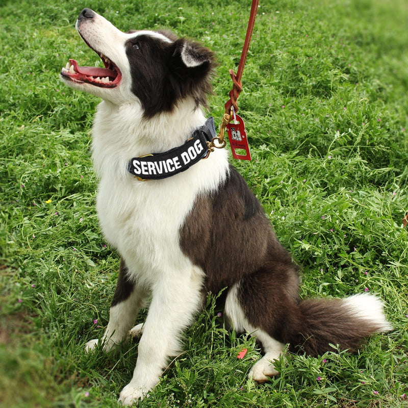 Cobee Dog Embroidered Tactical Patches for Dog Harness, 6pcs Dog Vest Removable Tactical Magic Sticker Patches for Service Dog Badges in Training - PawsPlanet Australia