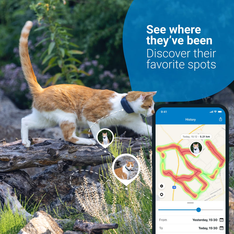 Tractive GPS CAT 4 (2022). Cat tracker. Follow every step in real-time. Unlimited Range. Activity Monitoring (w/ midnight blue collar attachment) - PawsPlanet Australia