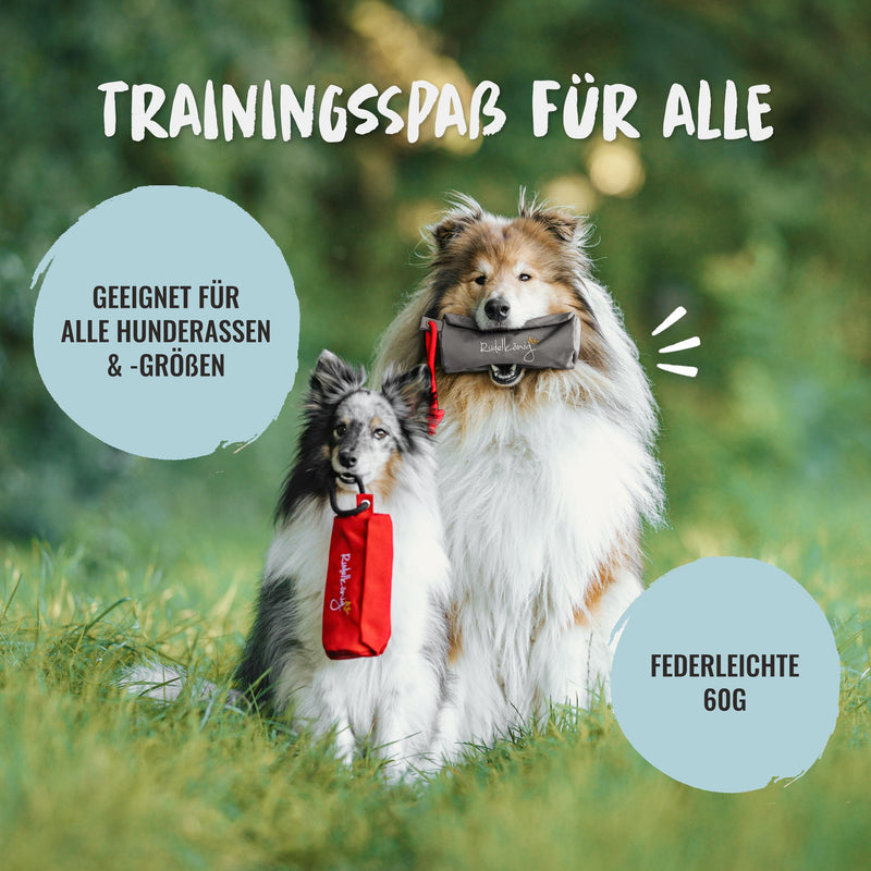 Rudelkönig food bag for dogs - retrieving bag for dog training - robust food dummy for treats grey - PawsPlanet Australia
