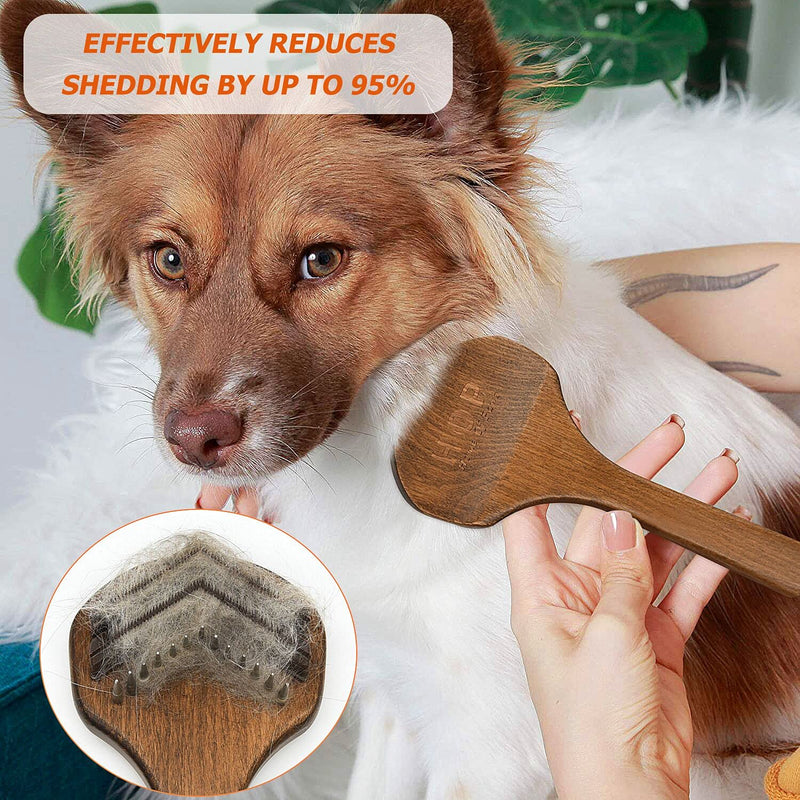 Deshedding Tool & Pet Grooming Brush for Small, Medium & Large Dogs, Cats & Horses, With Short to Long Hair - PawsPlanet Australia