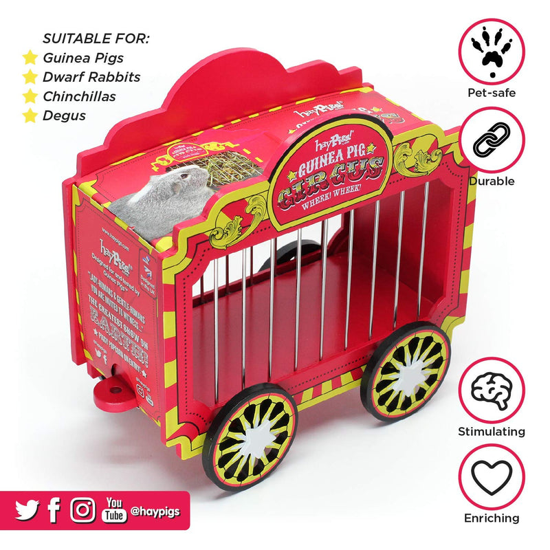 HAYPIGS Guinea Pig Toys and Accessories - Circus themed WHEEK WAGON Hay Hopper - Guinea Pig Hay Rack - Dwarf Rabbit Feeder - Hay Racks for Guinea Pigs - Hay Feeder - Chinchilla Hay Rack - PawsPlanet Australia