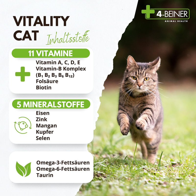 4-BEINER Vitality-CAT, 11 vitamins for cats plus Omega 3, Omega 6, zinc, selenium, manganese, copper, iron, taurine, multivitamins cat, powder - PawsPlanet Australia