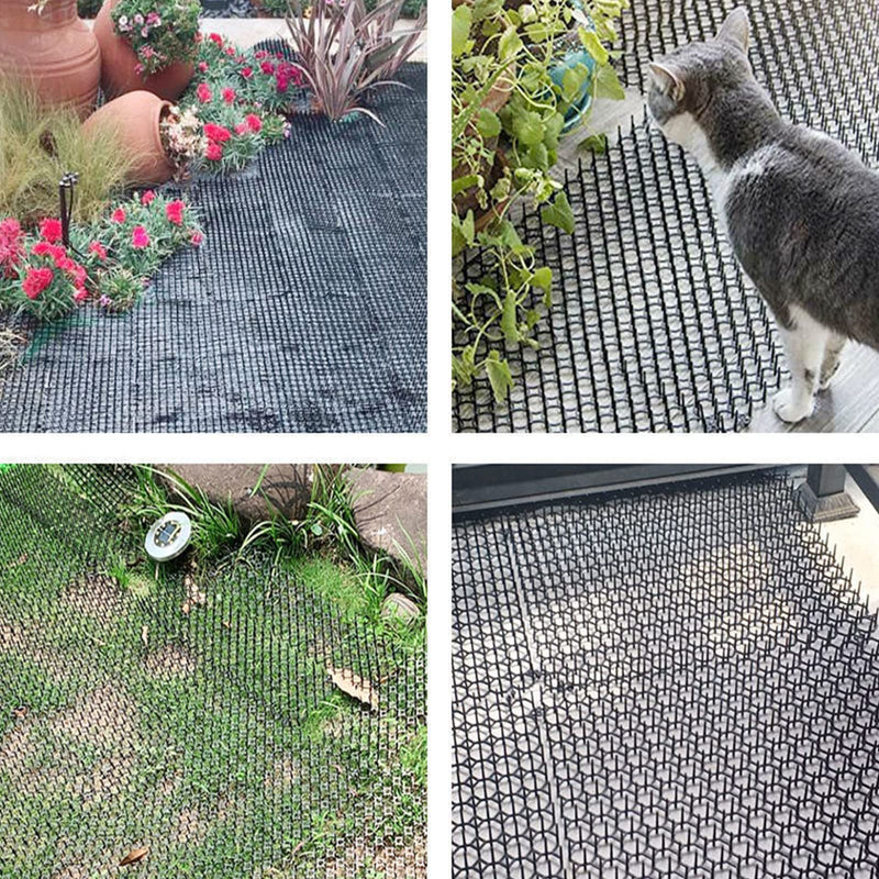 Plastic Cat Repellent Garden Defense Against Cats Anti Cat Thorn Mesh Cats Repel Garden Thorn Mesh Against Cats Anti Cat Mat with Spikes for Garden Home Home 21 x 16 cm Pack of 10 - PawsPlanet Australia