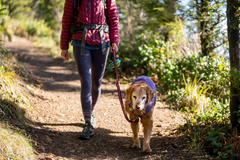 [Australia] - RUFFWEAR - Overcoat Fuse Jacket Harness Combo for Dogs Medium Purple Sage 