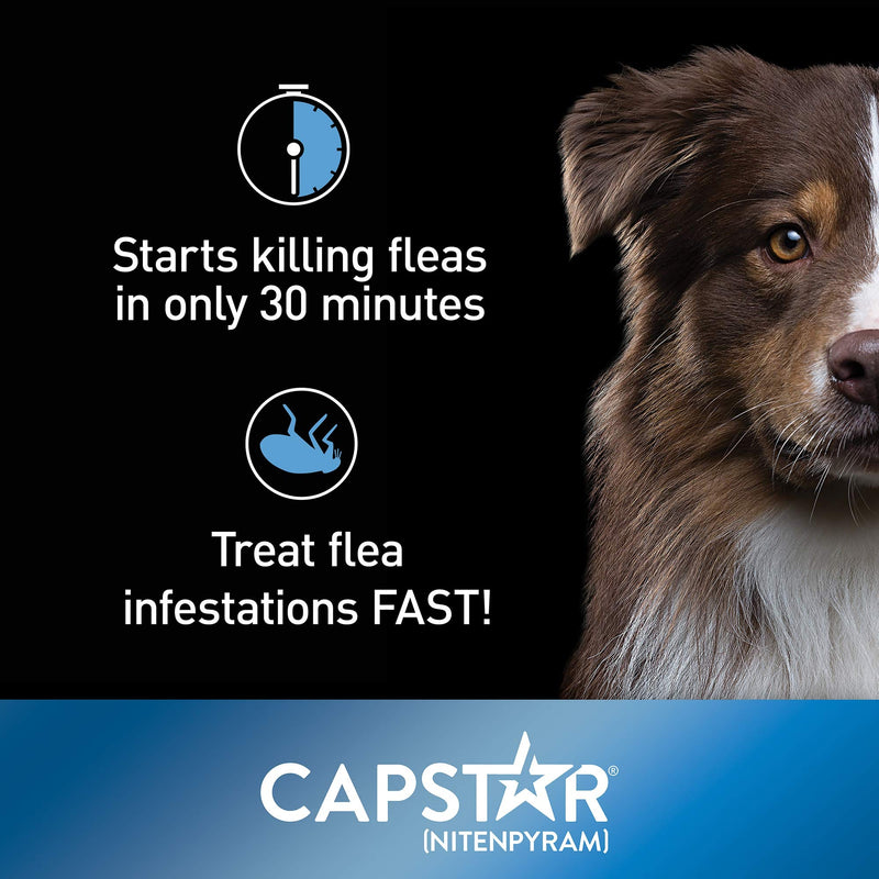 Capstar Flea Tablets for Dogs 2-25 lbs., Count of 12, 12 CT - PawsPlanet Australia