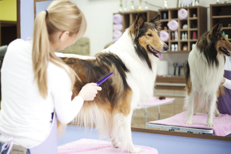 [Australia] - Hertzko Long and Short Teeth Comb Grooms Your Pet’s Top Coat and Undercoat at Once - Suitable for Dogs and Cats 