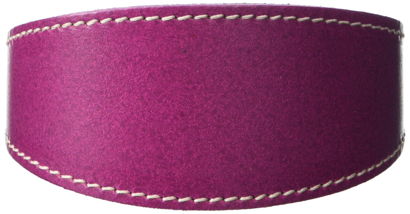 BBD Pet Products Whippet Collar, One Size, 3/4 x 10 to 12-Inch, Boysenberry - PawsPlanet Australia