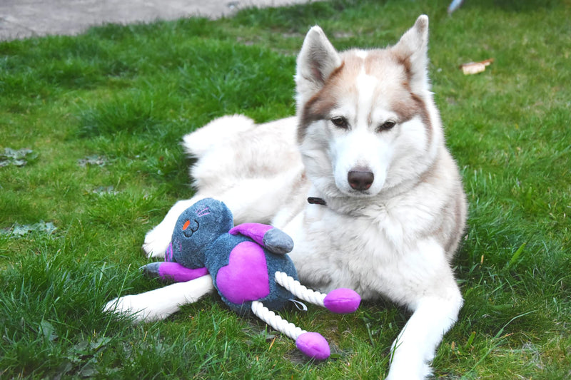 Rosewood Ruby Rabbit Dog Toy, multi-colour - PawsPlanet Australia