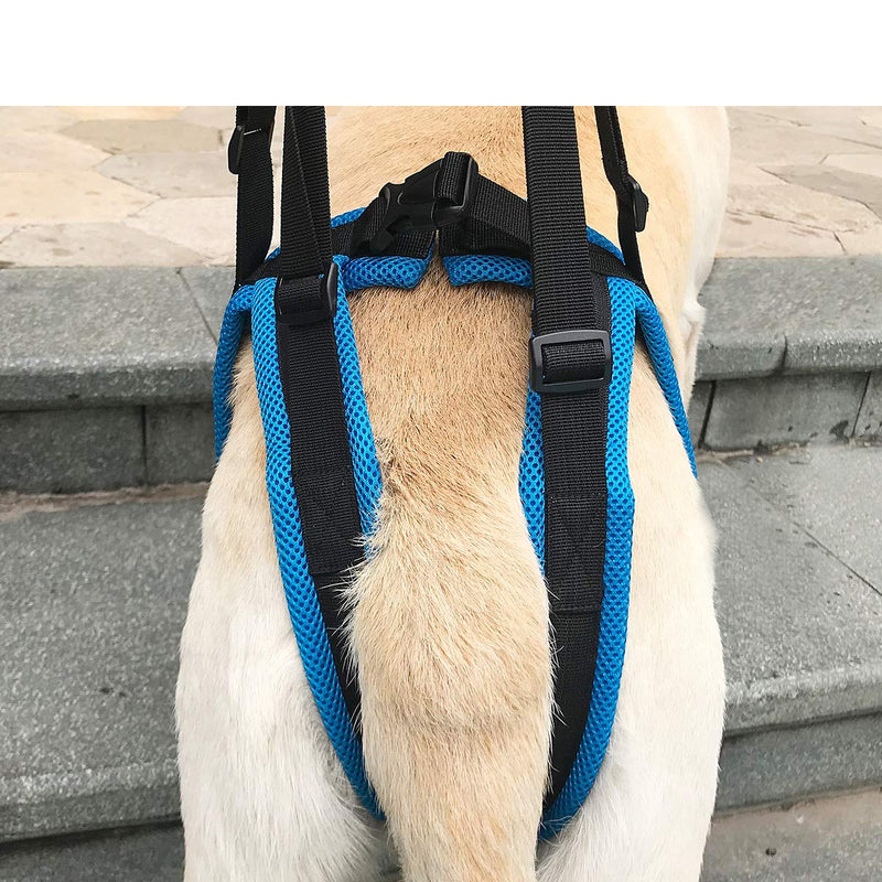 [Australia] - Kismaple Dog Walking Lifting Carry Rear Legs, Adjustable Support Harness Walking Aid Lifting Pulling for Hind Leg Disability Injured Young Old Dogs M 