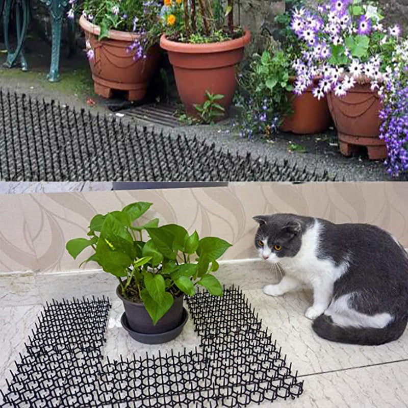 Plastic Cat Repellent Garden Defense Against Cats Anti Cat Thorn Mesh Cats Repel Garden Thorn Mesh Against Cats Anti Cat Mat with Spikes for Garden Home Home 21 x 16 cm Pack of 10 - PawsPlanet Australia