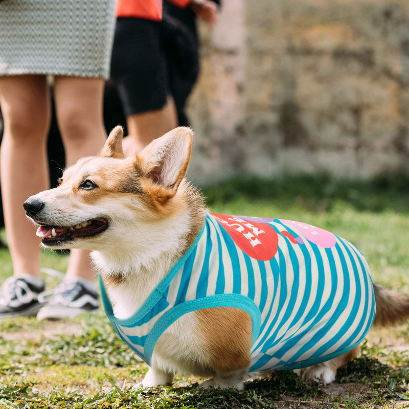 [Australia] - 6 Pieces Printed Pet Dog Shirts Dog Cotton Striped T Shirt Breathable Pet Cute Vest Striped Puppy Clothes with Pattern for Small to Medium Pet Dog Apparel, Various Styles 