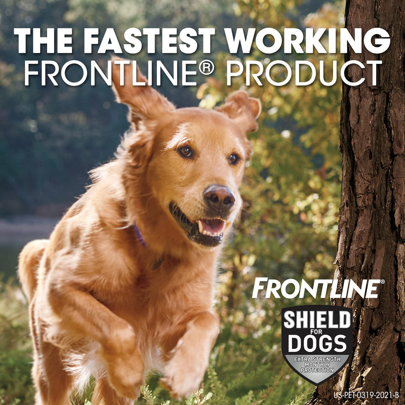 FRONTLINE Shield for Dogs Flea & Tick Treatment, 21-40 lbs 3 Count - PawsPlanet Australia