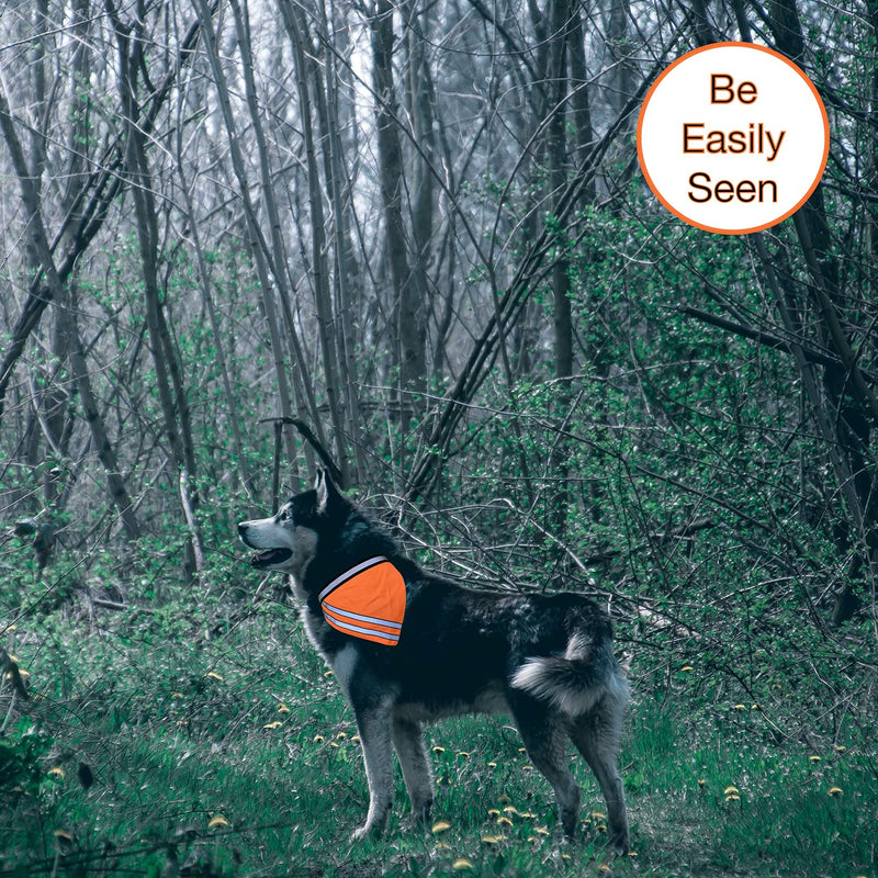 Reflective Dog Bandana Velcro Safety Scarf 2 Pack Orange Dog Reflective Gear - PawsPlanet Australia