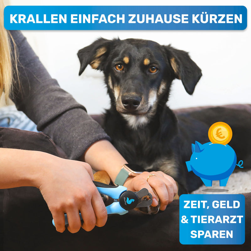 BluePet ClawsSchön professional claw scissors with protection for dogs and cats - extra safe thanks to spacers - including nail file bestseller size Ml with protection - PawsPlanet Australia