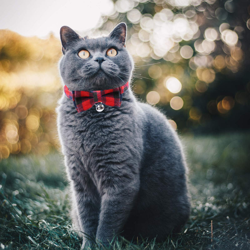 Zngou 2PCS Plaid Cat Collars Quick Release Kitten Collar Bow Tie Safety Cat Bowtie Collars Christmas Cat Bow Collar With Bell Soft Tartan Collar Adjustable Pet Collars For Kitten Puppy Black Red Black+Red - PawsPlanet Australia