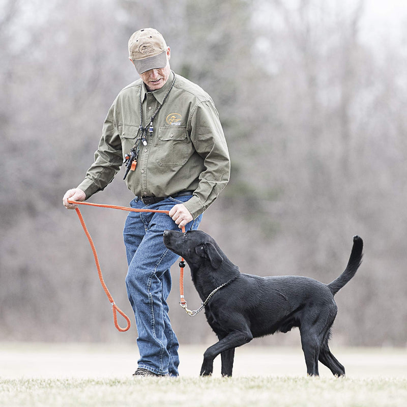 SportDOG Brand Commander Whistle - Red - PawsPlanet Australia