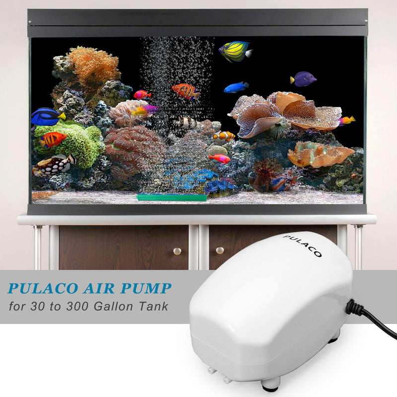 PULACO 210 GPH Ultra Quiet Aquarium Air Pump Dual Outlet , Fish Tank Aerator Pump with Accessories, Under 300 Gallon Fish Tanks - PawsPlanet Australia