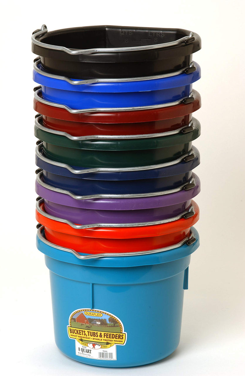 Little Giant Plastic Animal Feed Bucket (Purple) Flat Back Plastic Feed Bucket with Metal Handle (8 Quarts / 2 Gallons) (Item No. P8FBPURPLE) 8 Quart - PawsPlanet Australia