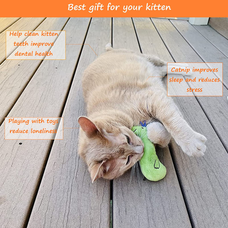 Dorakitten Catnip Toys for Indoor Cats 5Pcs Kitten Teething Toys & Plush Cat Chew Toy Set with Bag for Small | Medium Cats Variety - PawsPlanet Australia