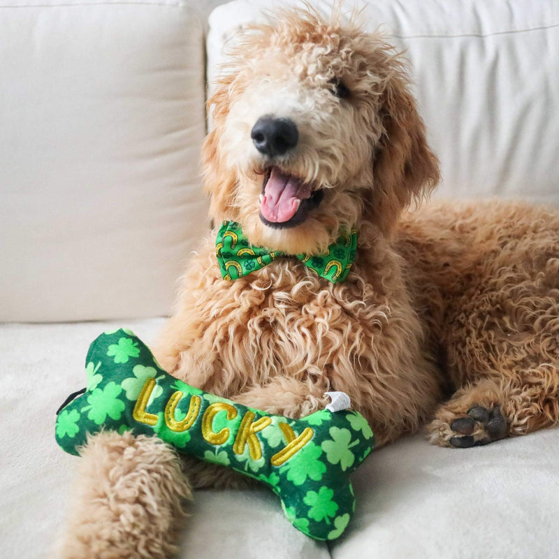 Lulubelles Power Plush | Lucky Charm Bone | St. Patrick's Day Dog Toy with Squeaker | Funny Dog Gift | Fun, Durable, and Safe | Huxley & Kent Squeaky Dog Toys Small - PawsPlanet Australia