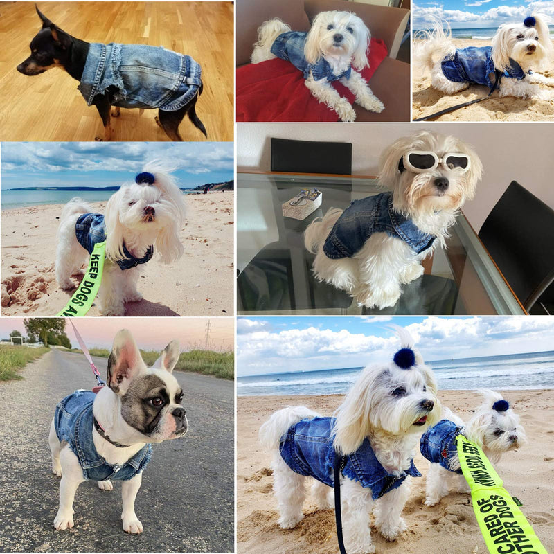 Strangefly Dog Jean Jacket, Blue Puppy Denim T-Shirt, Machine Washable Dog Clothes, Comfort and Cool Apparel, for Small Medium Dogs Pets and Cats (XS, Blue) X-Small - PawsPlanet Australia