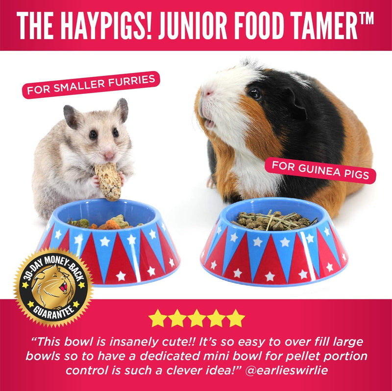 HAYPIGS Guinea Pig Bowl - Circus Themed Junior FOOD CRAVING TAMER Mini Guinea Pig Food Bowl - Hedgehog Bowl - Hamster Bowl - Small Animal Food Bowl - PawsPlanet Australia