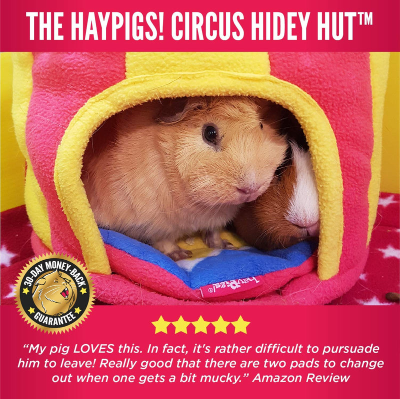 HAYPIGS Guinea Pig Toys and Accessories - Circus Themed Fleece HIDEY HUT Guinea Pig House - Guinea Pig Hideaway - Hamster House - Small Pet House - Rodent House - PawsPlanet Australia