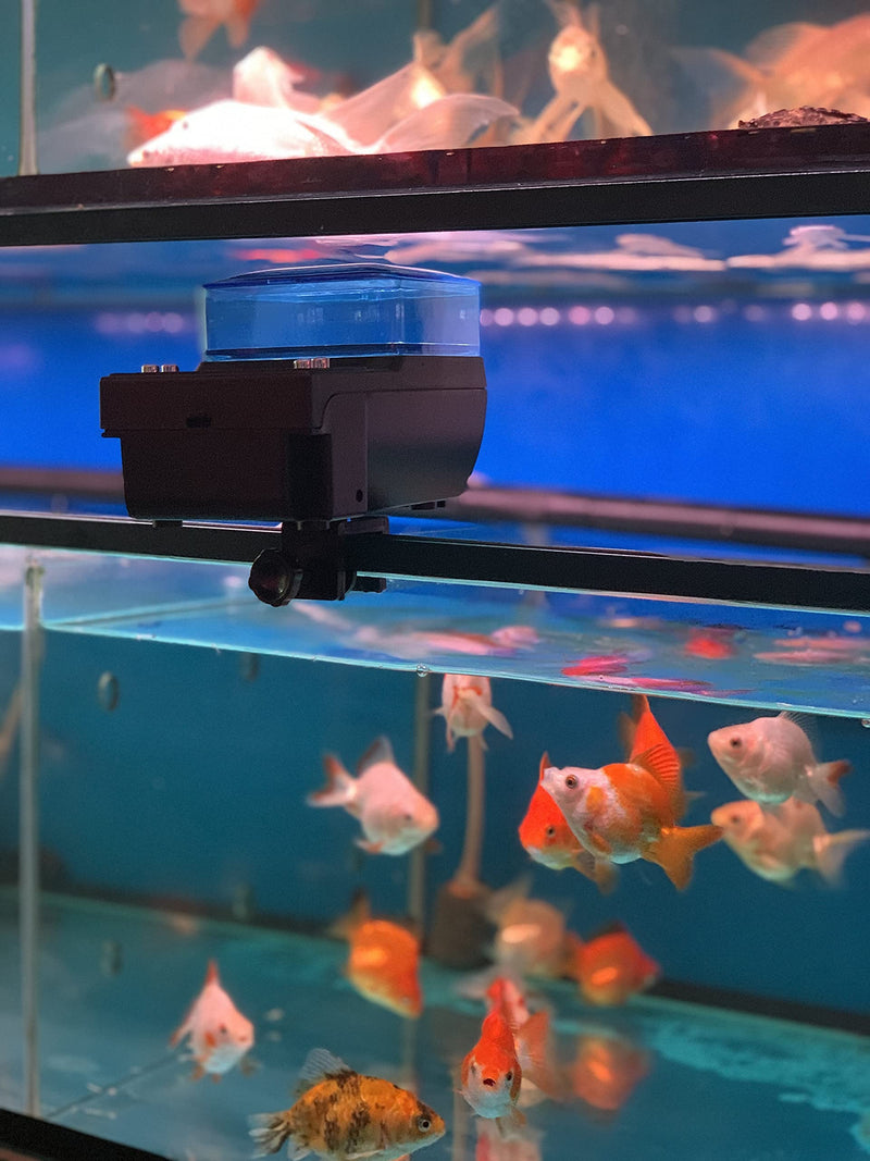 Automatic Indoor Fish Tank Feeder, with Moisture Proof and Fish Food Jam Prevention - PawsPlanet Australia