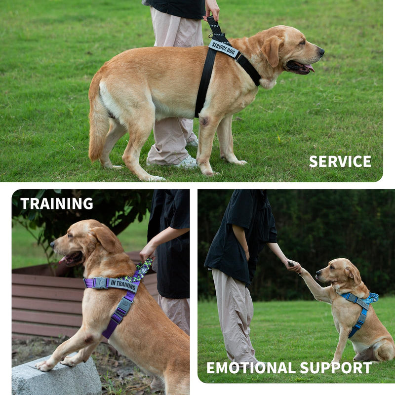 Paworld Dog Harness, Service Dog Harness, Norwegian Harness Dog, Safety Harness with 4 Reflective Patches, Adjustable Handle, for Walking, Training and Running (Purple, XS) Extra Small (Pack of 1) Purple - PawsPlanet Australia