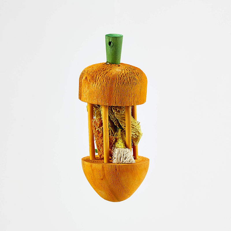 [Australia] - Kaytee Carousel Chew Toy Carrot, Large 