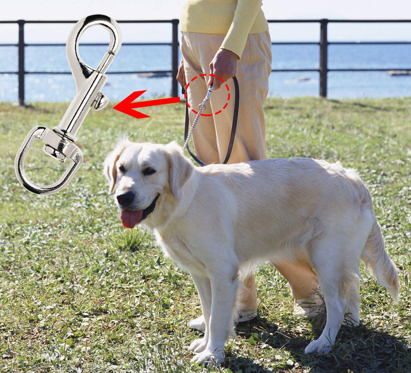 [Australia] - PENTA ANGEL 4Pcs Dog Leash Clasp Heavy Duty Snap Hooks Clips Pet Leashes Key Chain with Spring Buckle for Linking Pet Collar 4 PCS 