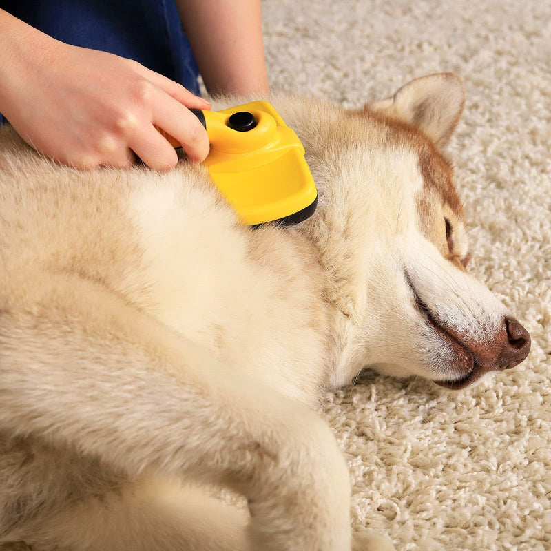 lionto PB00505 Self-Cleaning Dog Brush Cat Brush Undercoat Brush Suitable for Medium and Long Hair Multi-Coloured - PawsPlanet Australia