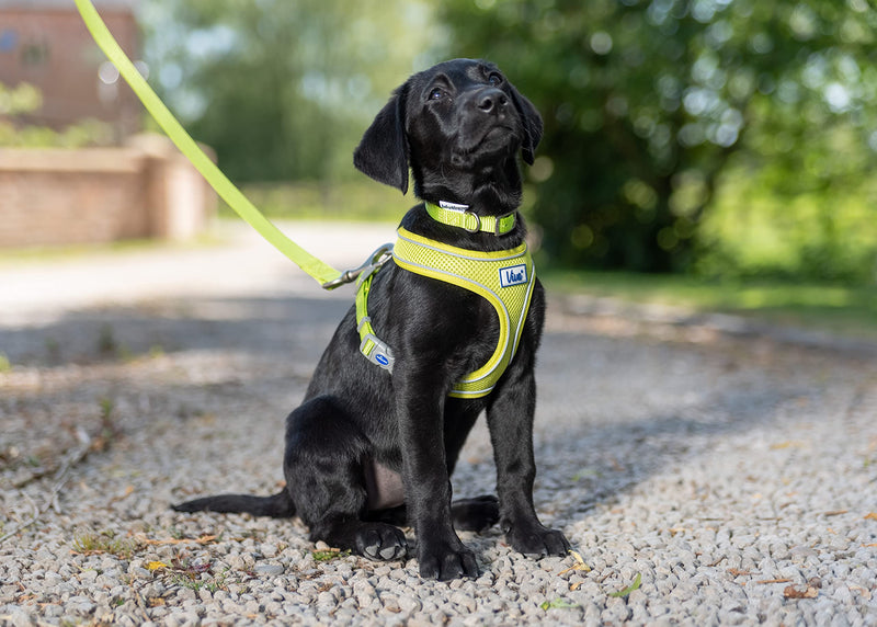 Ancol Viva Lightweight Breathable Comfort Mesh Dog Harness Lime Size XS (Fits Girth 28-40 cm) - PawsPlanet Australia