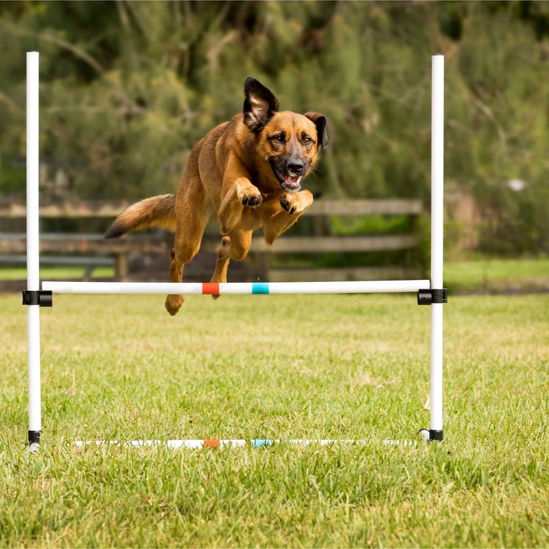 Midlee Dog Agility Bar Jump - PawsPlanet Australia