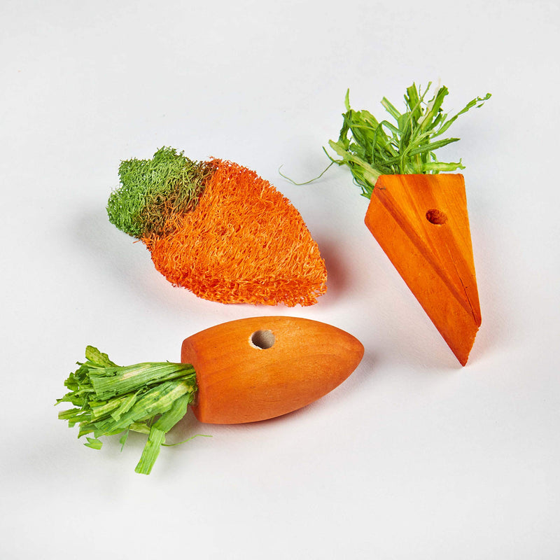 [Australia] - Kaytee 3 Count Chew Toy, Carrot Patch Variety 3 pack 