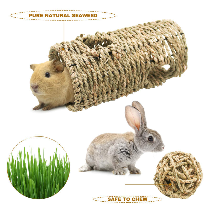 suruikei Hideaway Seagrass Tunnel with Balls, Grass Tunnel House, Small Animal Activity Center, Multiple Entrances Makes This Ideal for Multiple Pets,Perfect for Gerbils,Hamsters and Chinchillas 7.8"Lx3.93"W - PawsPlanet Australia